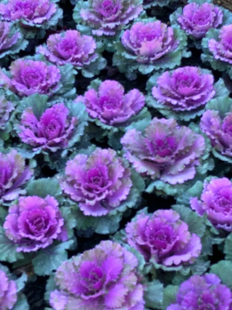 Photo from Tuesday, July 8, 2025