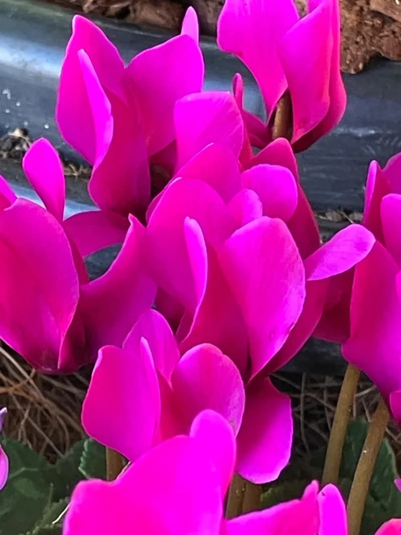 Photo from Monday, July 14, 2025