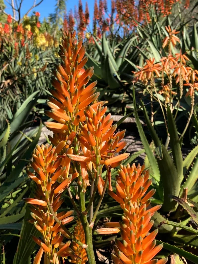 Photo from Friday, July 25, 2025