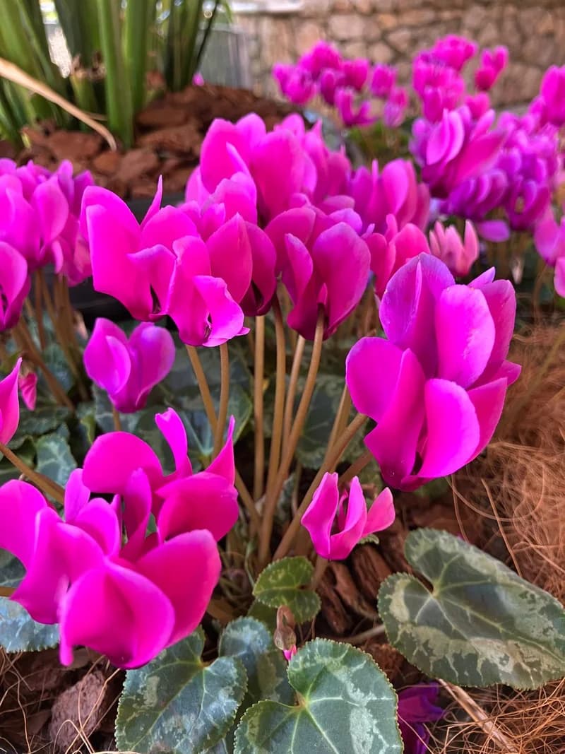 Photo from Tuesday, July 29, 2025