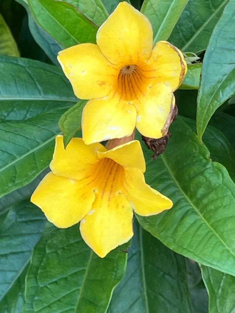 Photo from Wednesday, July 30, 2025