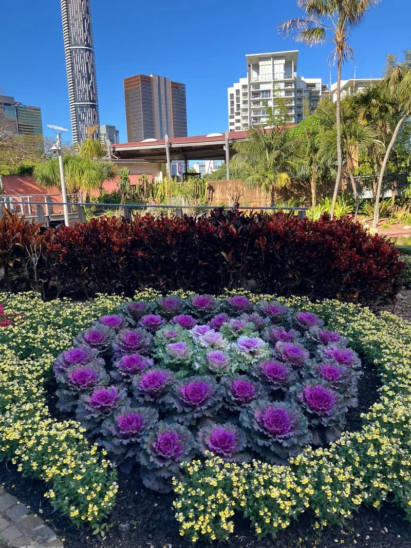 Photo from Thursday, July 31, 2025