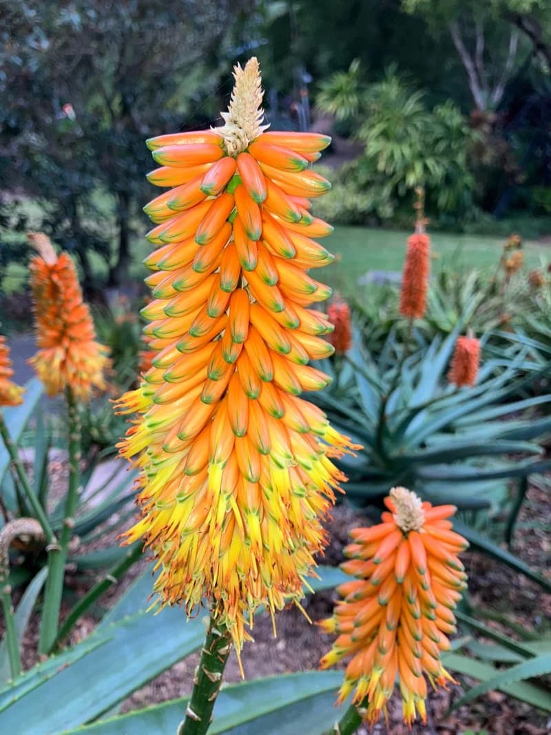 Photo from Friday, August 1, 2025