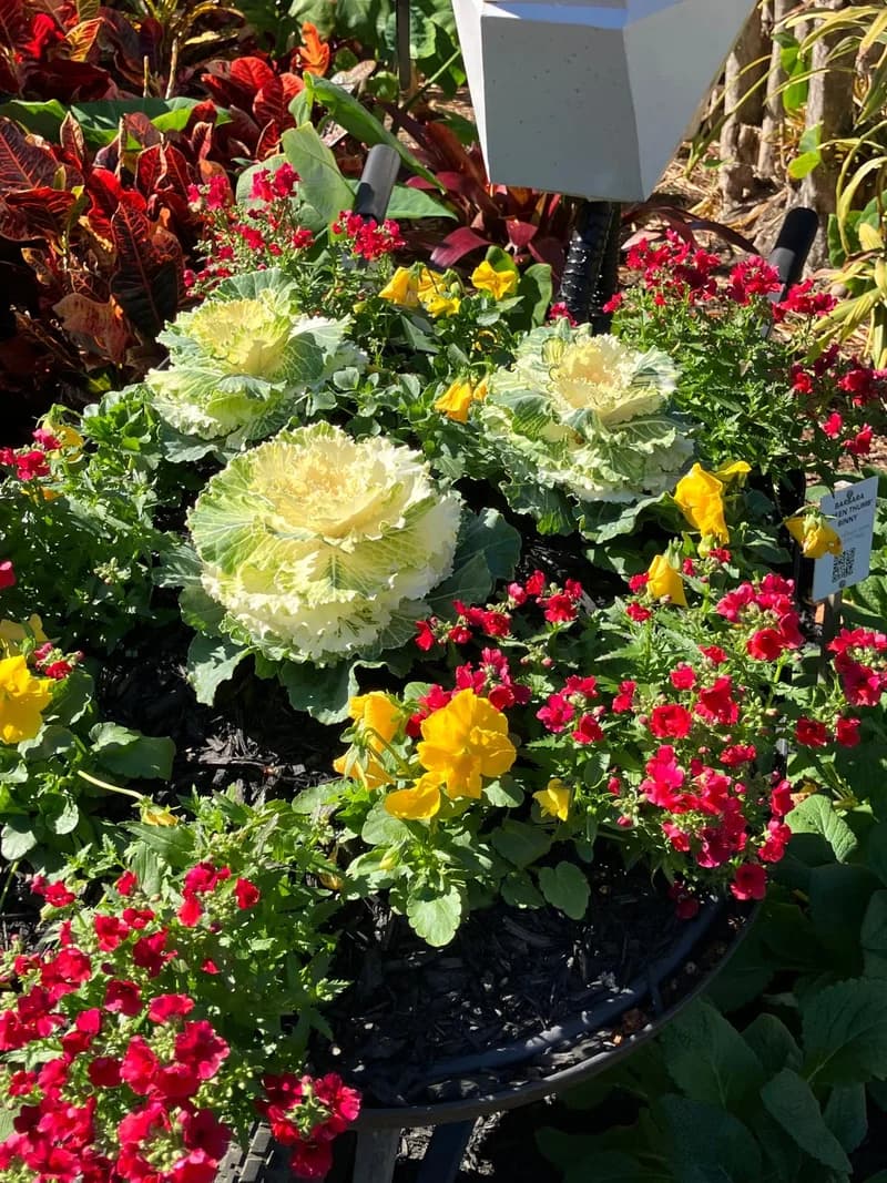 Photo from Saturday, August 2, 2025