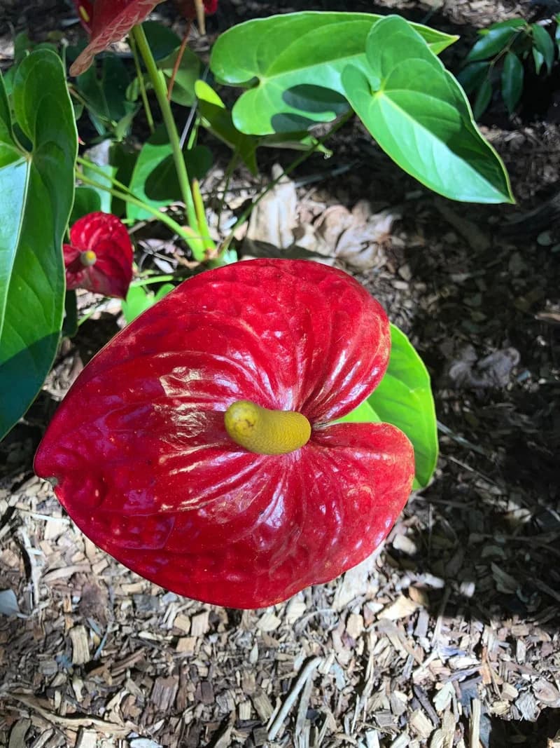 Photo from Monday, August 4, 2025