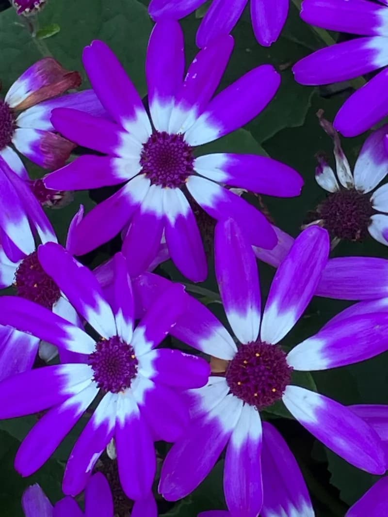 Photo from Thursday, August 28, 2025