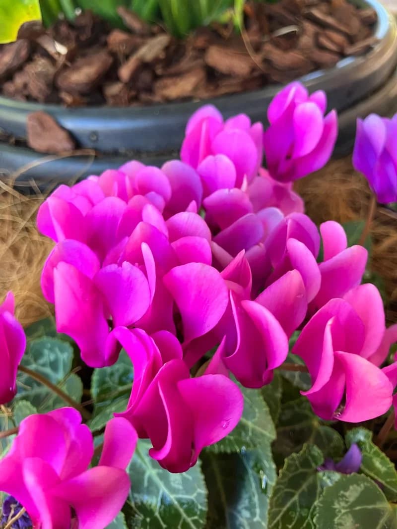 Photo from Friday, August 29, 2025