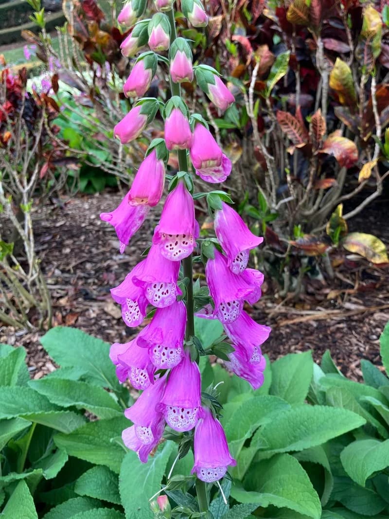 Photo from Monday, September 1, 2025