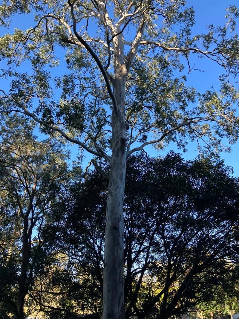 Photo from Wednesday, September 3, 2025