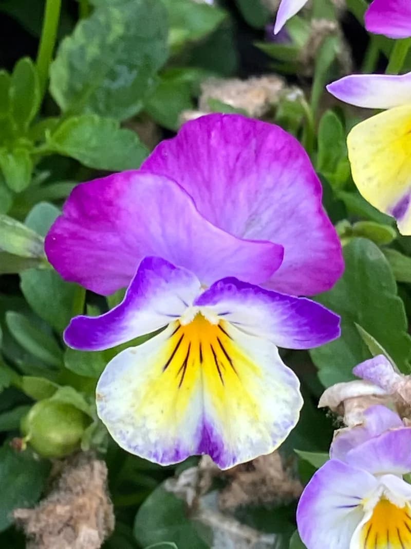 Photo from Friday, September 5, 2025