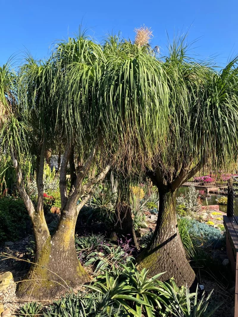 Photo from Sunday, September 7, 2025