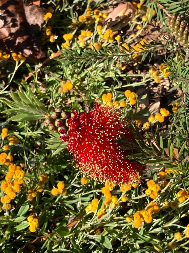 Photo from Monday, September 15, 2025