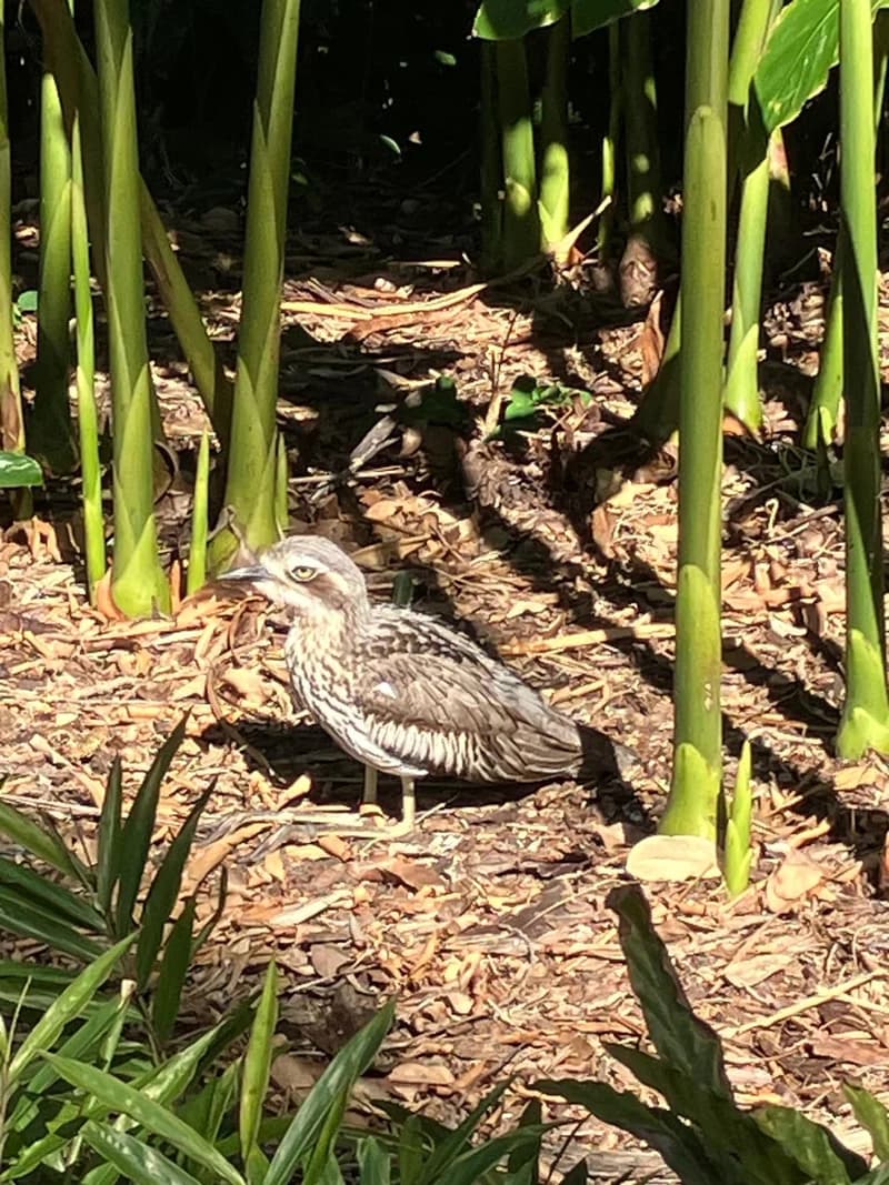 Photo from Monday, September 22, 2025