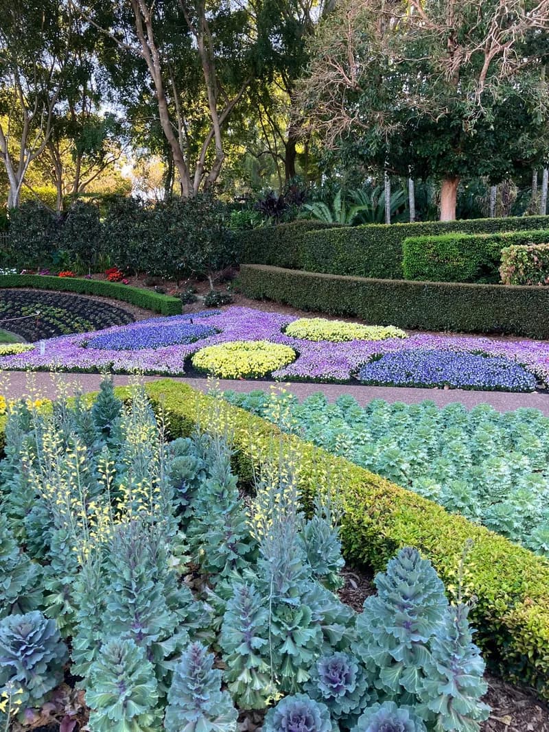 Photo from Wednesday, September 24, 2025