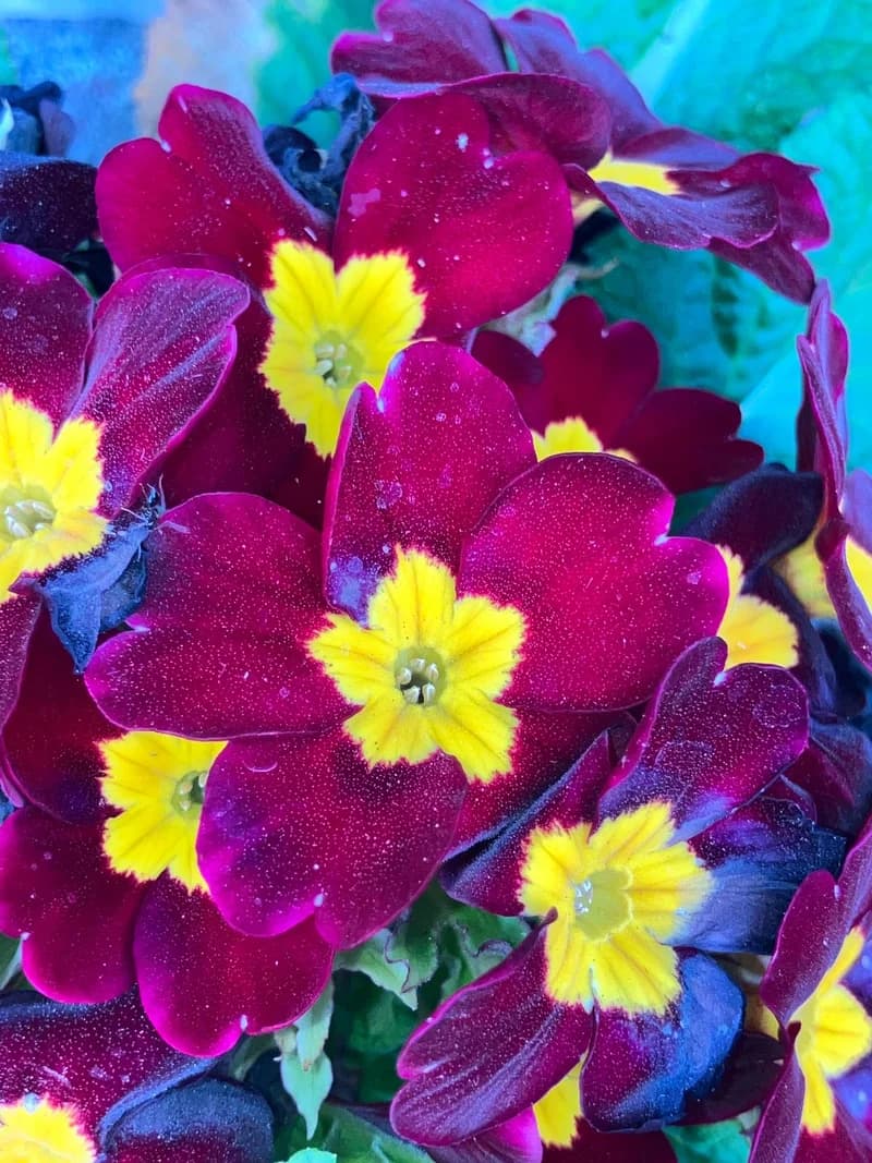 Photo from Friday, September 26, 2025