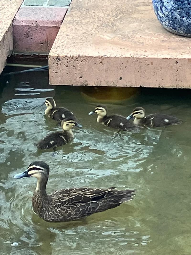 Photo from Tuesday, September 30, 2025