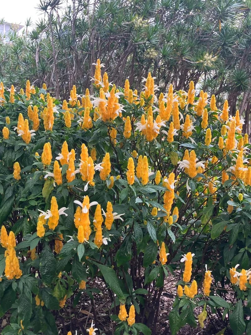 Photo from Wednesday, October 1, 2025