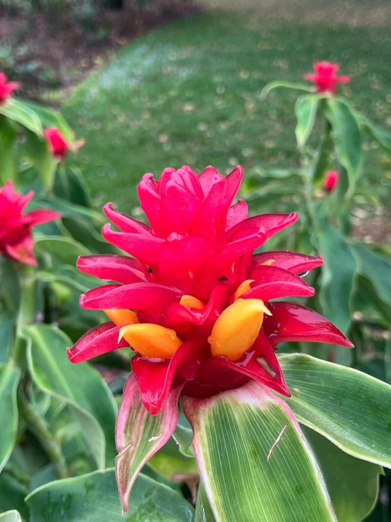 Photo from Monday, October 13, 2025