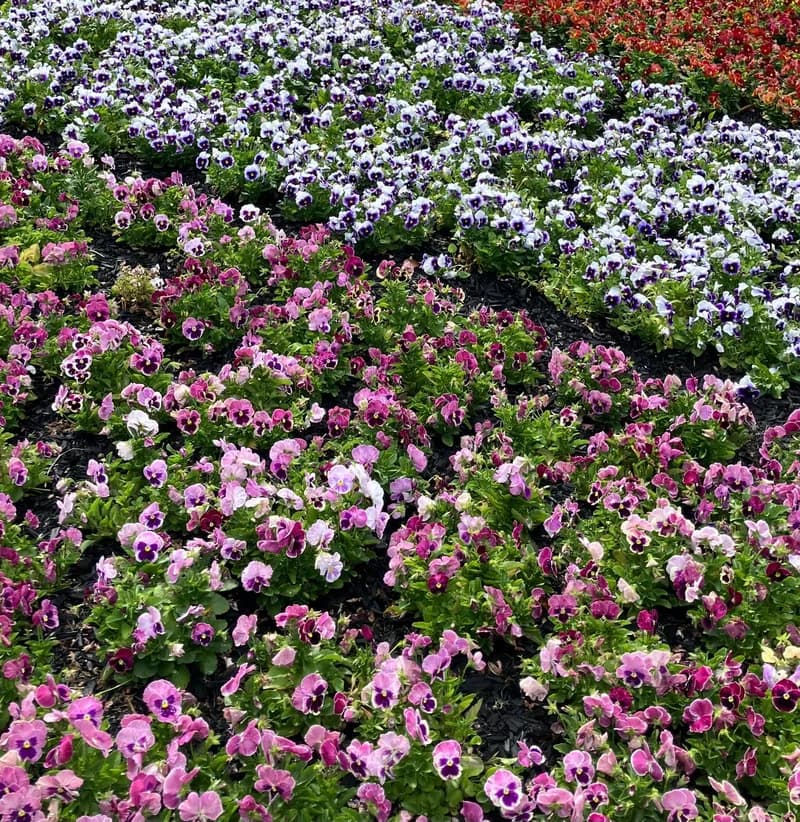 Photo from Friday, October 17, 2025