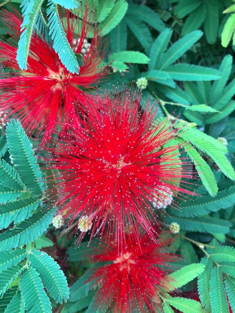 Photo from Wednesday, October 22, 2025