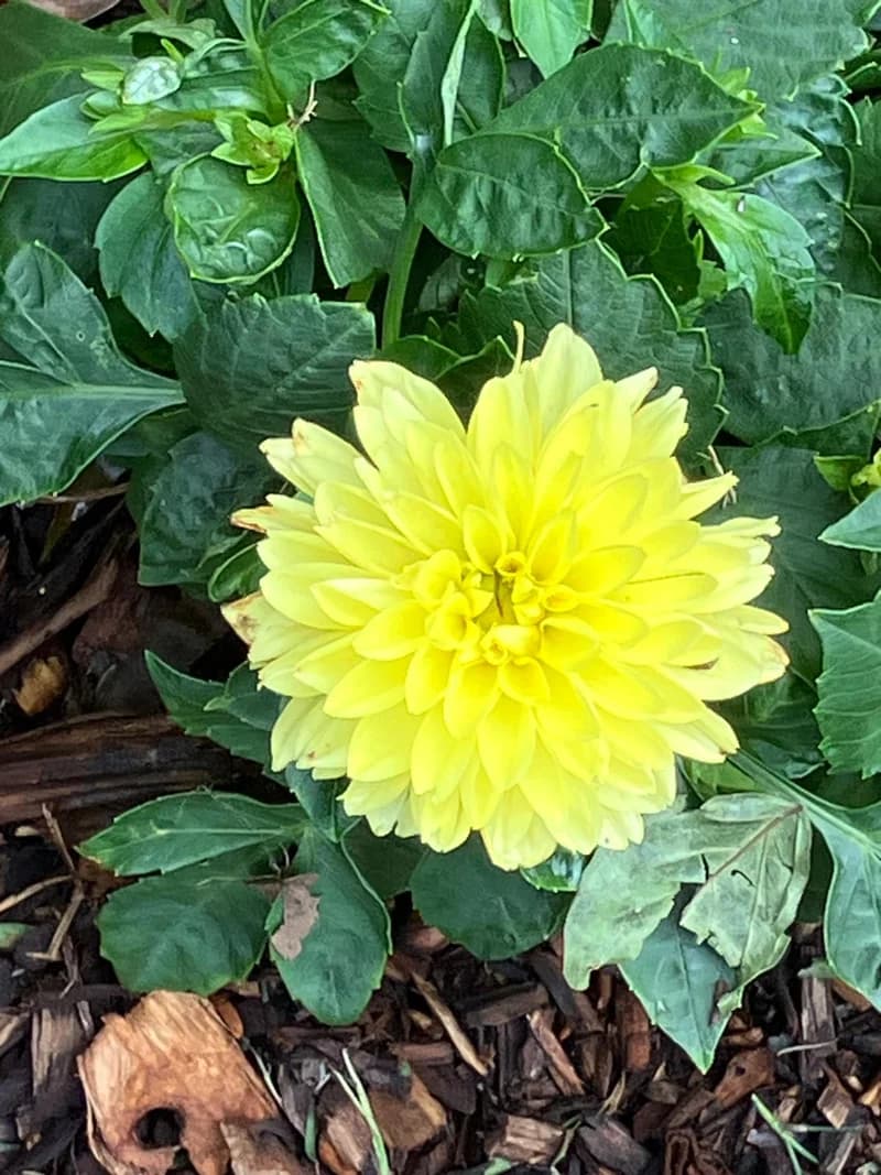 Photo from Wednesday, October 29, 2025