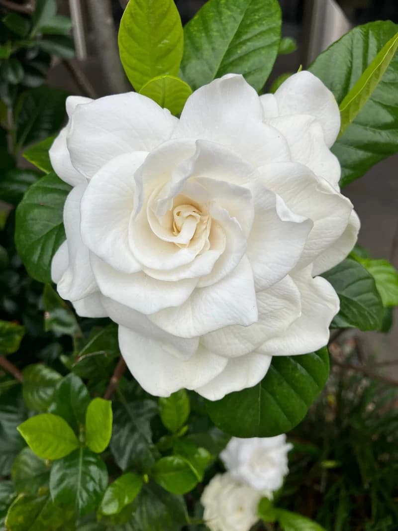 Photo from Saturday, November 1, 2025