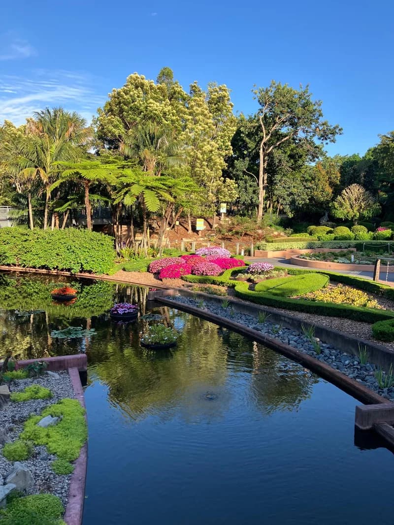 Photo from Friday, November 7, 2025