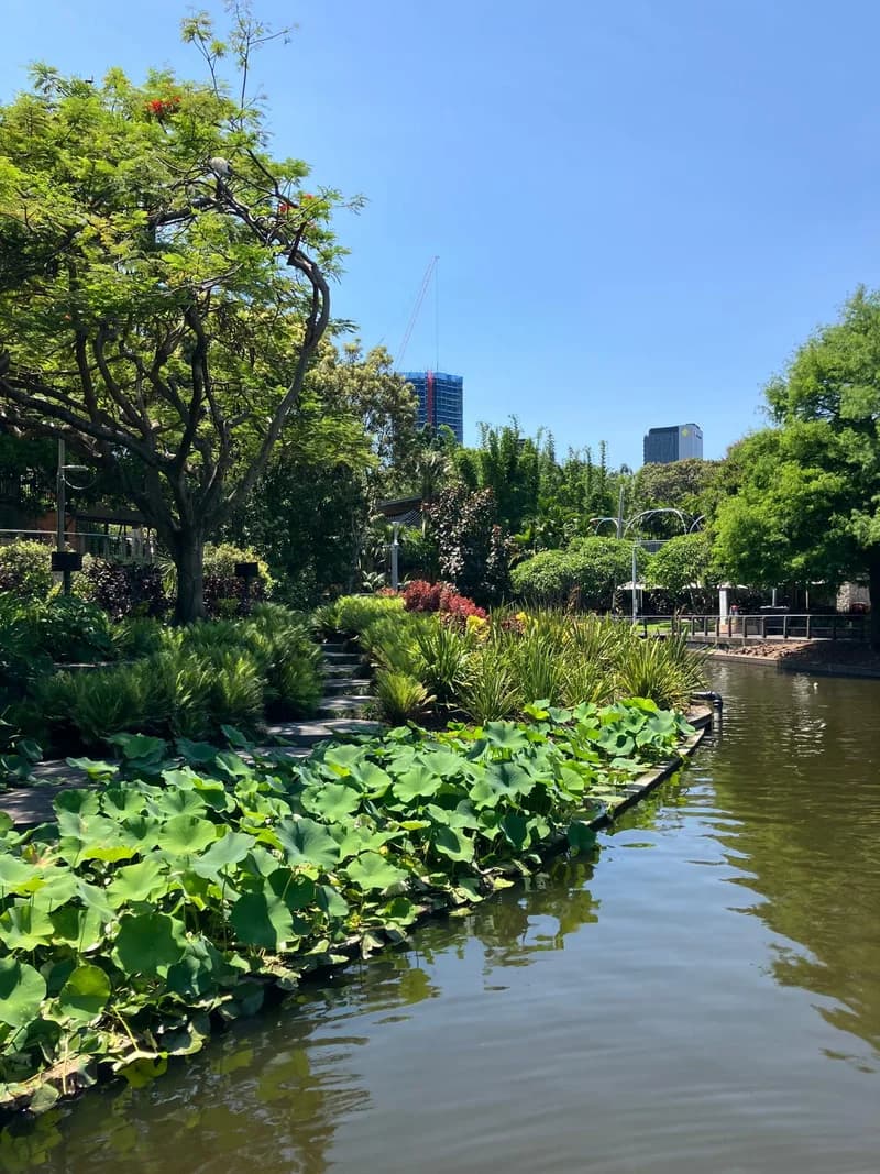 Photo from Saturday, November 8, 2025